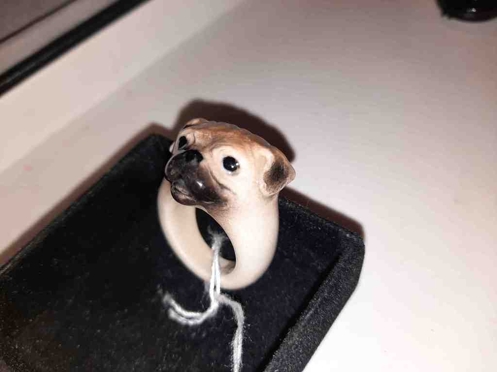 Dieses Bild hat ein leeres alt-Attribut; sein Dateiname ist nach-mops.jpg.